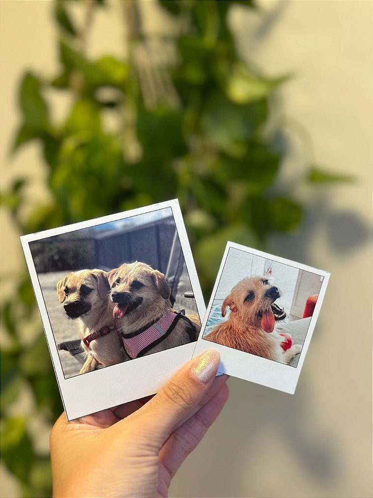 Íma de geladeira - Polaroids Pequenas