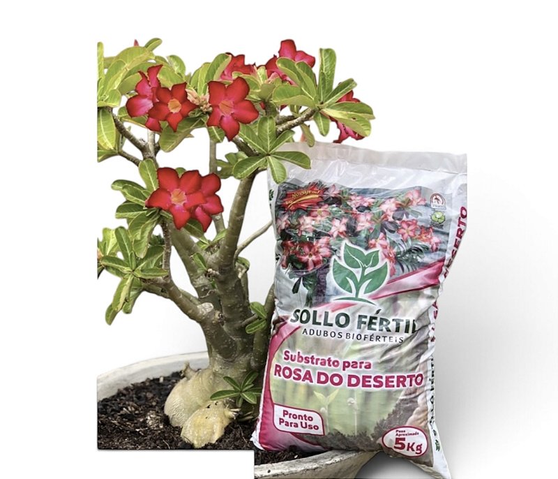 Substrato Rosa do Deserto 5kg Sollo Fértil