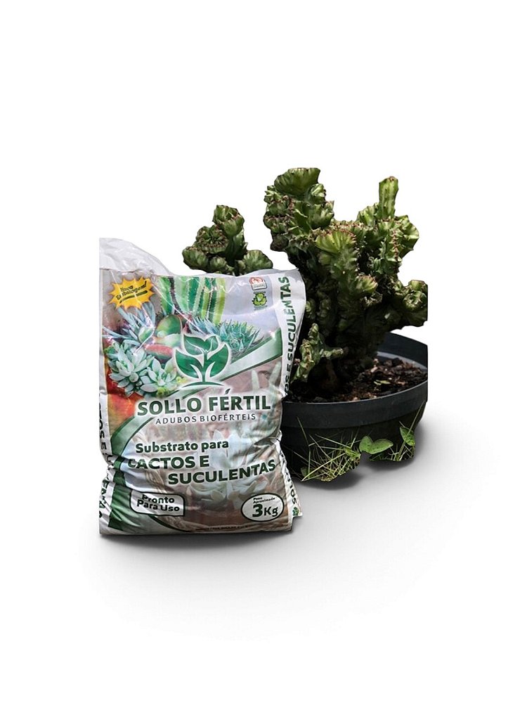 Substrato para Cactos e Suculentas 3kg