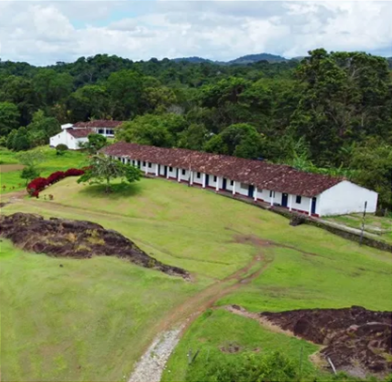 Passeio Fazenda de Cacau Yrerê rota do chocolate