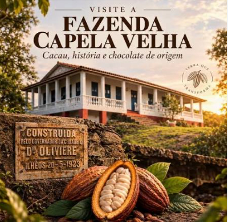 Passeio Fazenda de Cacau Capela Velha rota do chocolate