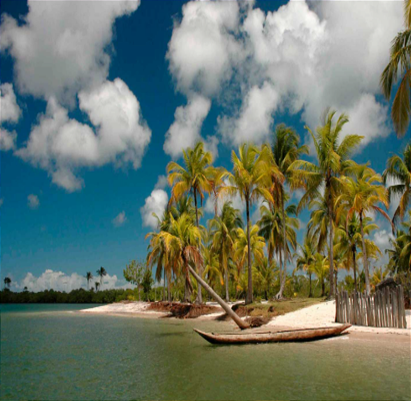 Passeio das ilhas Barra Grande Bahia