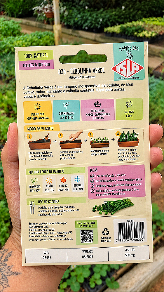 Sementes de Cebolinha Verde