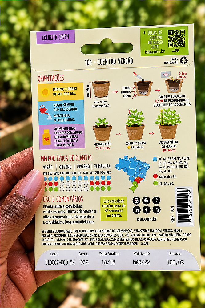 Sementes de Coentro Verdão para Plantio