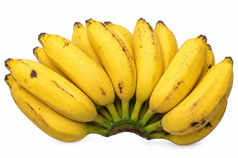 Banana Prata – 1,30 metros