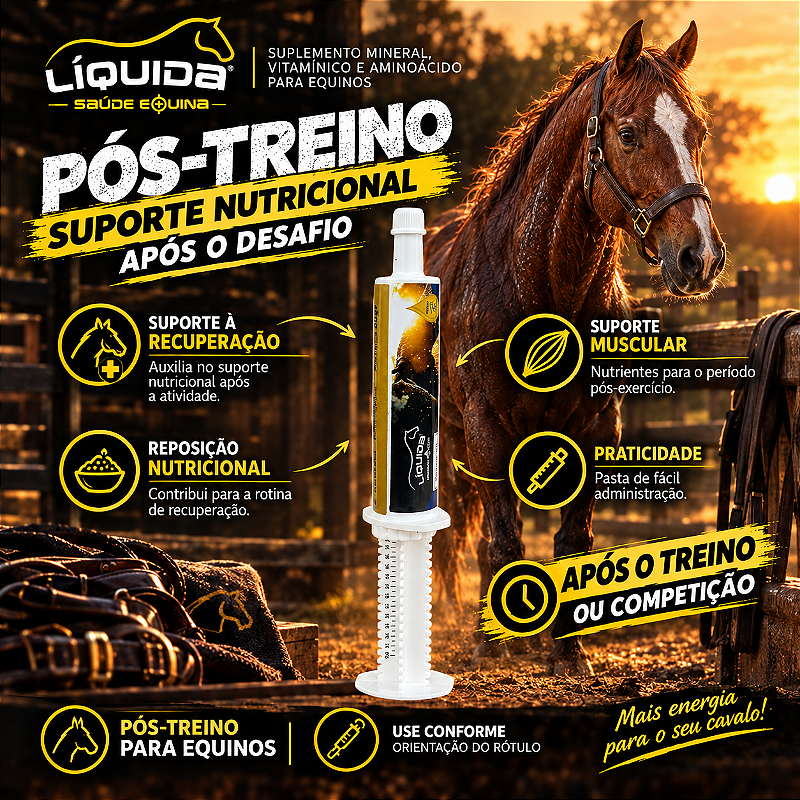 Pasta Pós-Treino Liquida Equinos — Recuperação e Reposição Nutricional para Cavalos Atletas