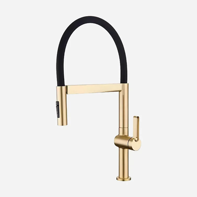 Hídrica Torneira Gourmet Monocomando Orbe Flex