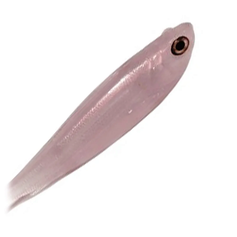 MONSTER 3X ISCAS SHADS YOSHI 15CM PINK SHINE 2UN