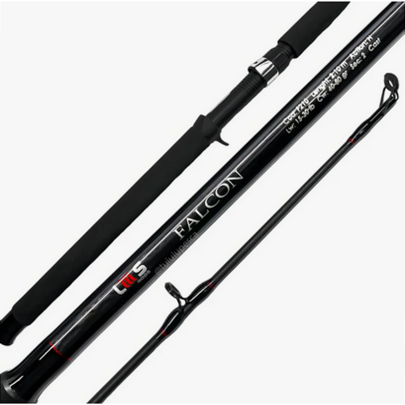 Vara LMS Rods Falcon 2,40m 20-50lbs 60-100gr 2pc