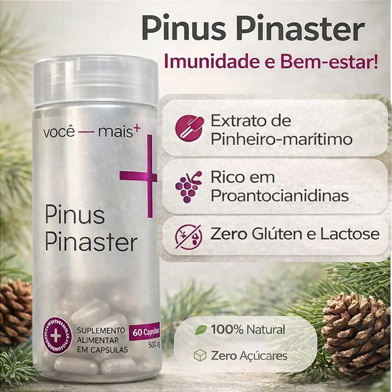 Pinus Pinaster 500mg 60 Cápsulas - Vitaminas Vc+ Sem Sabor