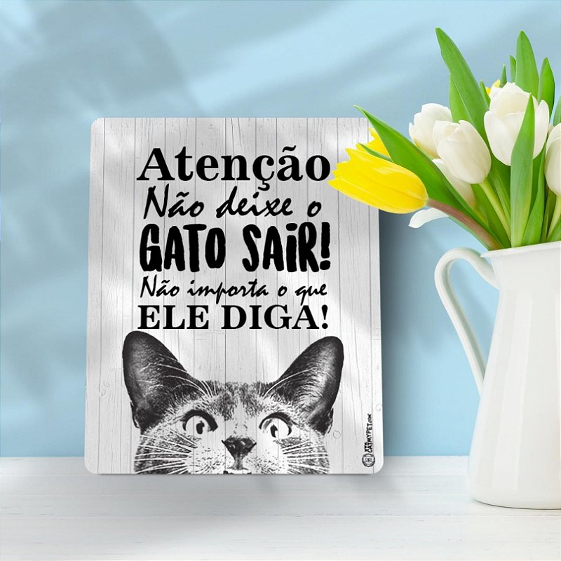 Placa Decorativa - Não Deixe o Gato Sair