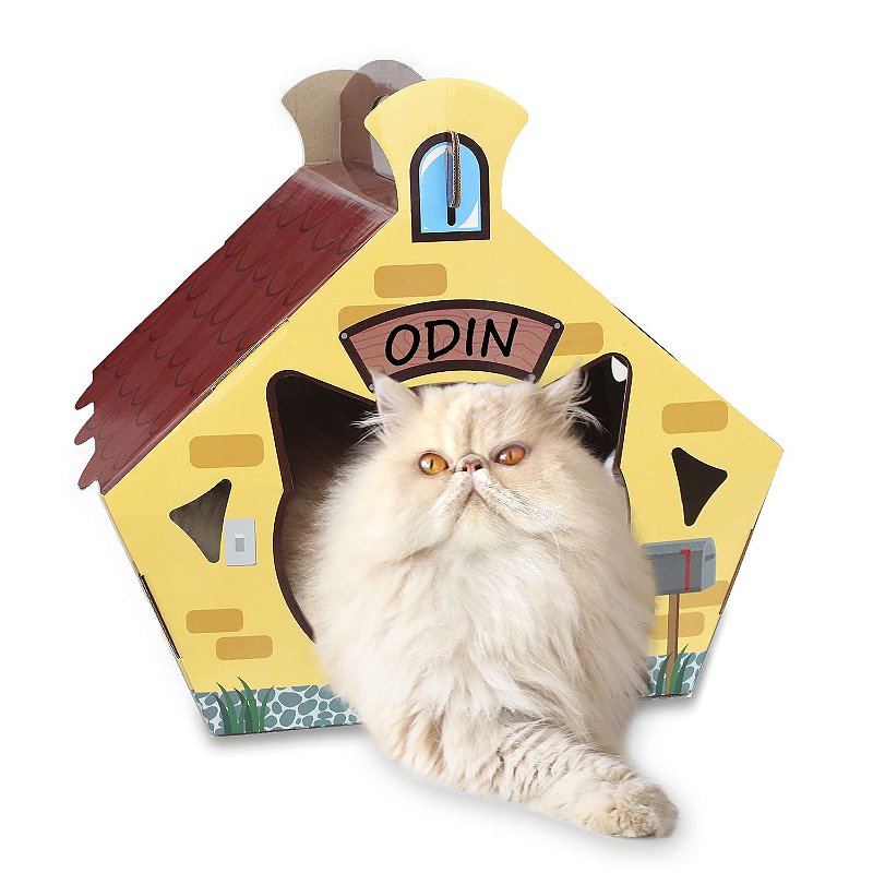Kit Gatinho Feliz