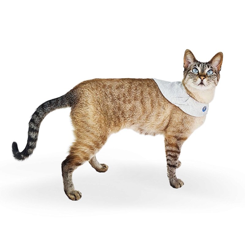 Bandana Capa Cat - Mescla Clara