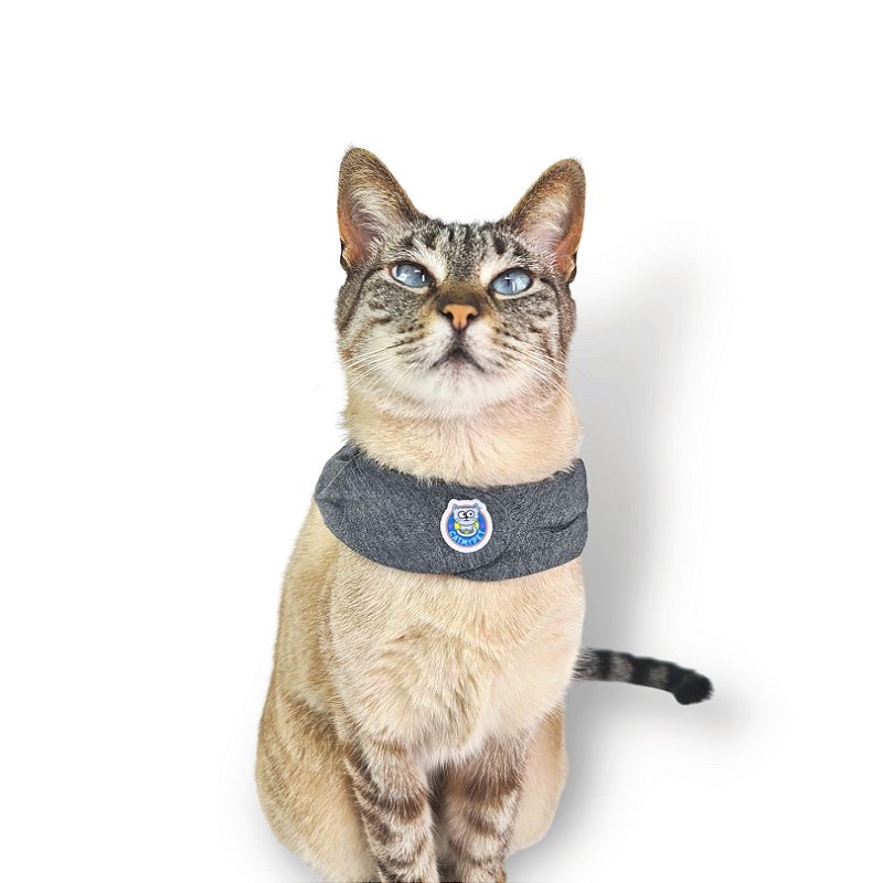 Kit Bandana Capa Cat