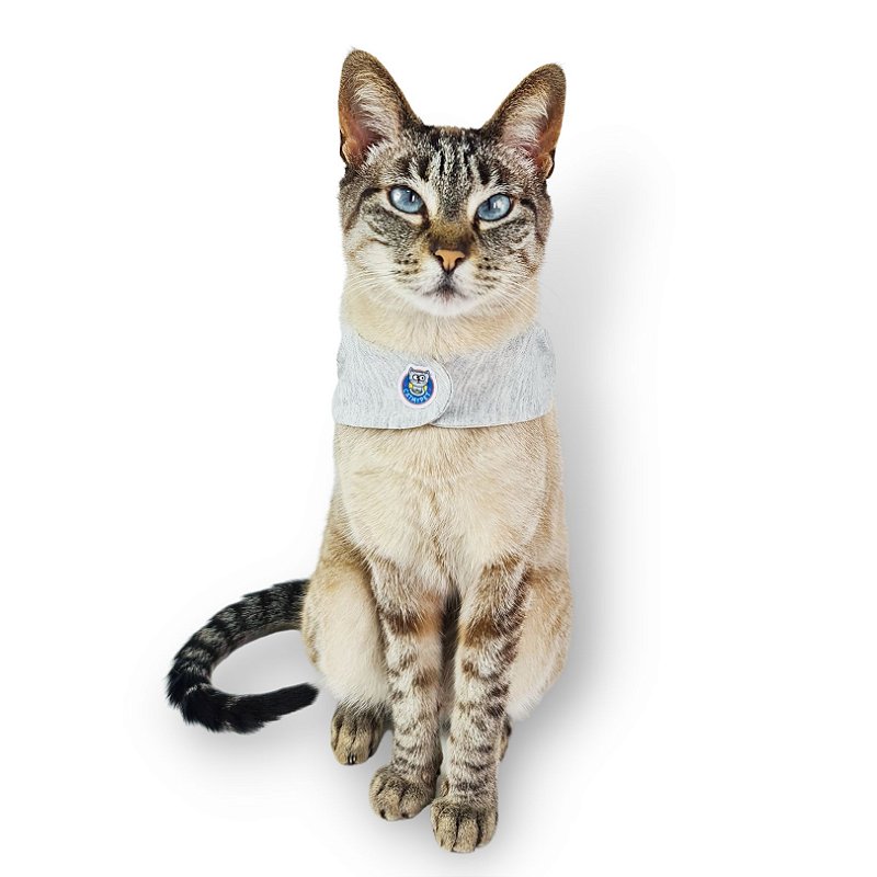 Kit Bandana Capa Cat