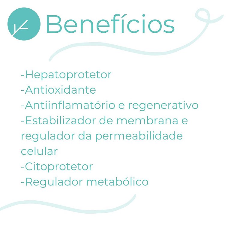Silimarina 250mg Hepatoprotetor - 60 Cápsulas