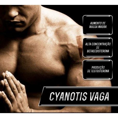 Turkesterone 500mg + Cyanotis Vaga 200mg - Força, Energia, Potência