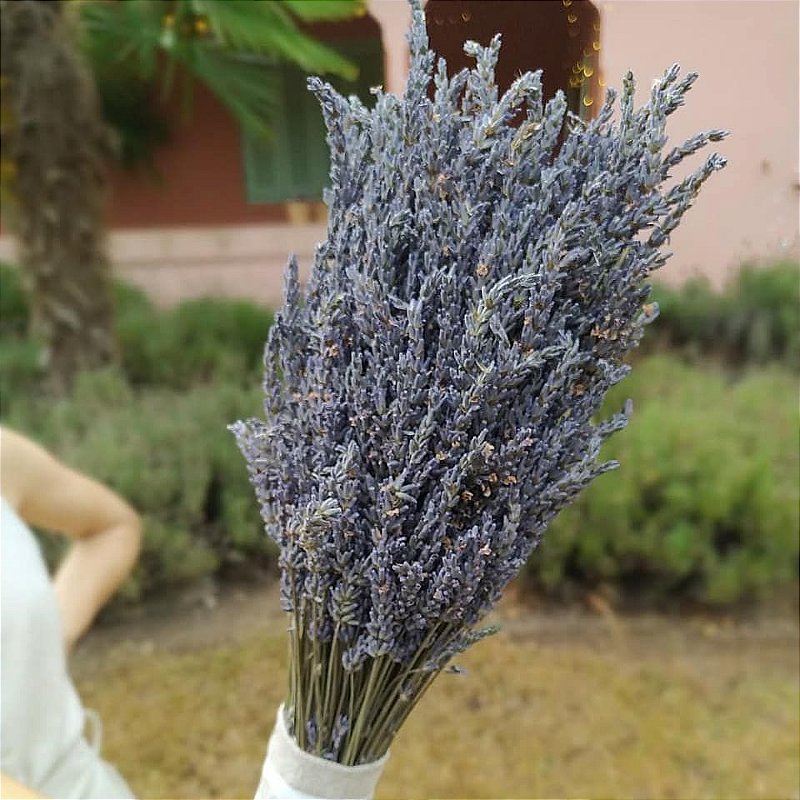Buquê Flores Desidratadas de Lavanda Francesa
