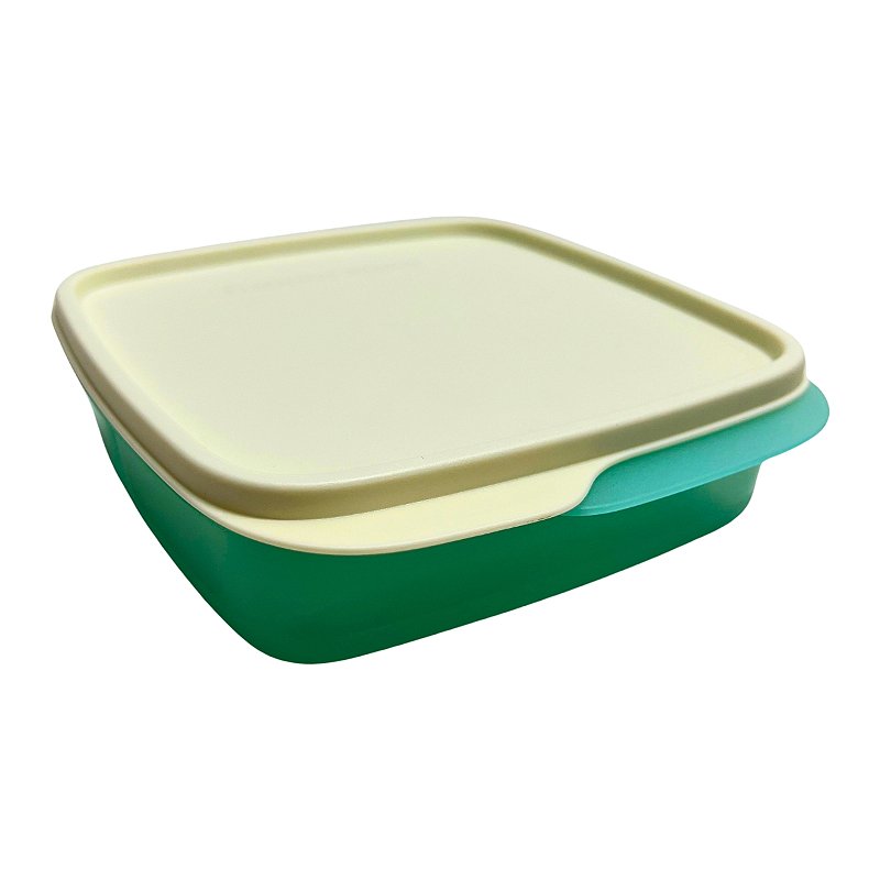 Tupperware Basic Line Com Divisórias Mint 550ml - Comprar