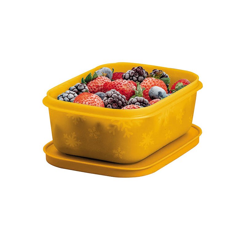 Tupperware Freezer Line 450ml Laranja - Comprar Tupperware Online