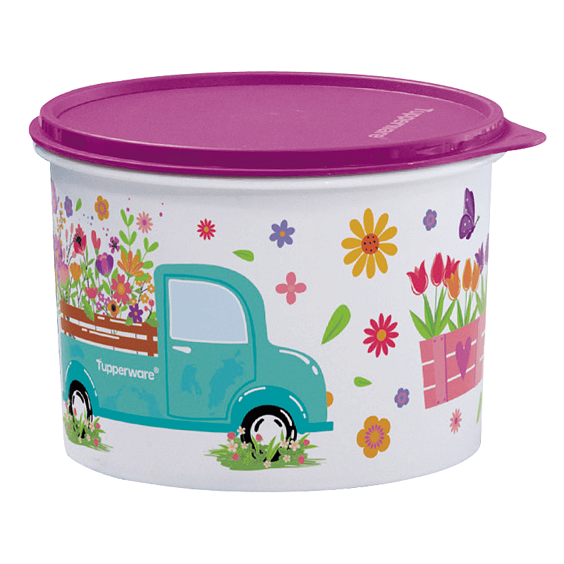 Tupperware Caixa Caminho das Flores 2,4 Litros - Comprar