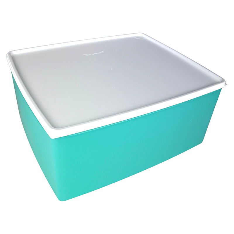 Tupperware Caixa Espaçosa 6,5 litros Verde - Comprar Tupperware
