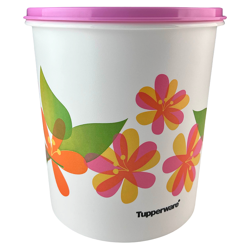Tupperware Caixa 3,7 litros Florida - Comprar Tupperware Online