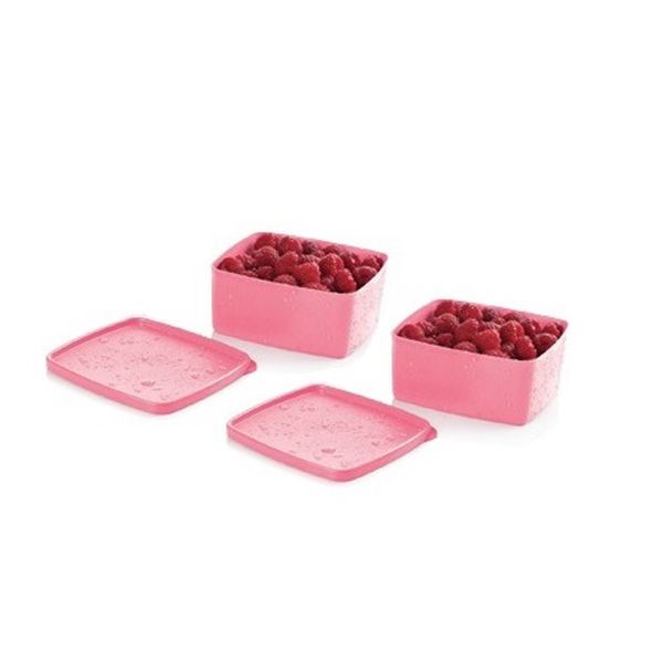 Kit Tupperware Jeitosinho 400ml Rosa Pink Translúcida 2 Peças - Comprar  Tupperware Online? Wareshop - Loja Mundo Tupperware