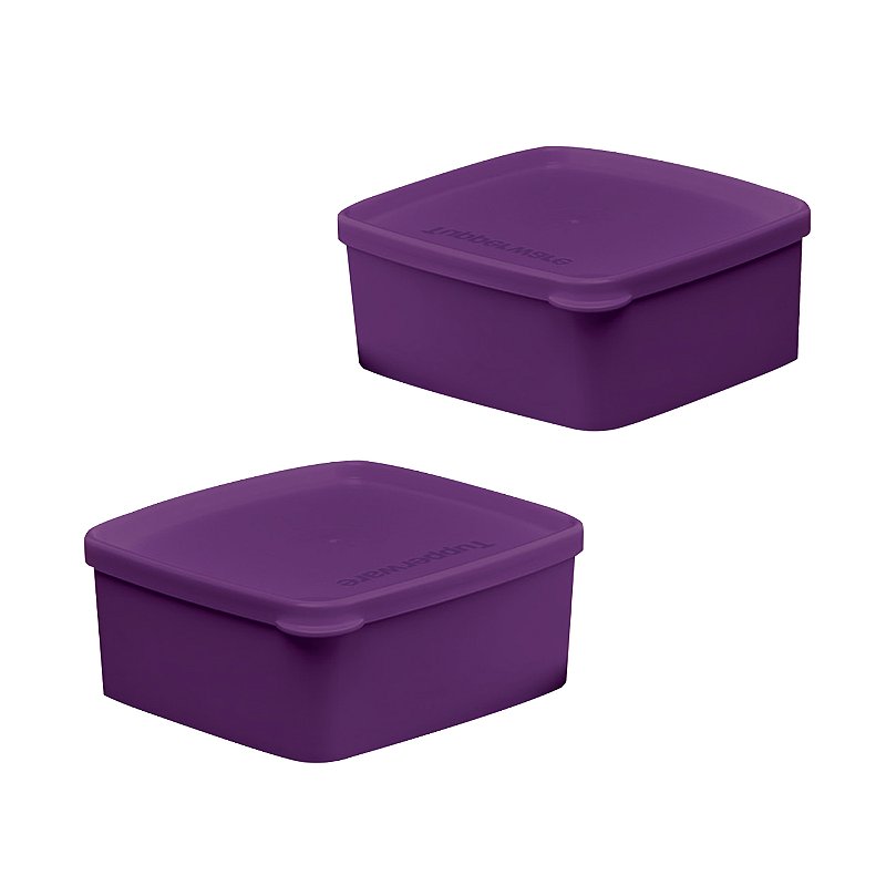 Tupperware マイクロスチーマー リヒータブルプチスクエア セット 紫 Kit Tupperware Jeitosinho Ametista Roxo 400ml 2 Peças - Comprar