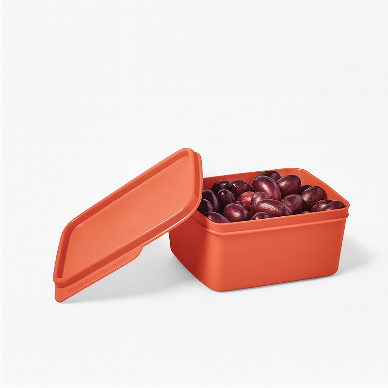 Tupperware Basic Line 500ml Laranja Coral - Comprar Tupperware