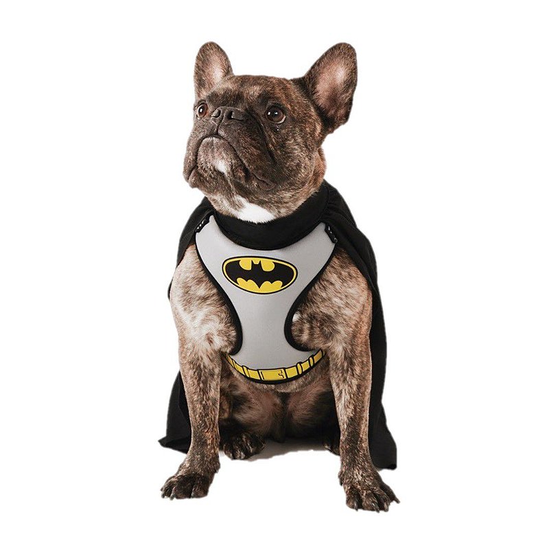 Cachorro vestido de batman Clearance