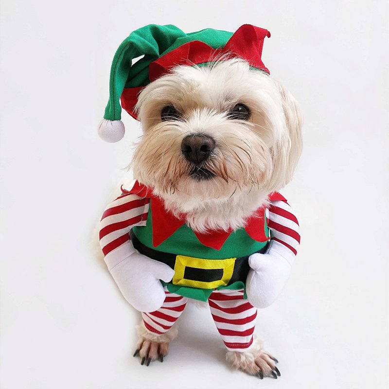 Fantasia para Cachorros Ajudante do Papai Noel | Bichinho Virtual -  Bichinho Virtual