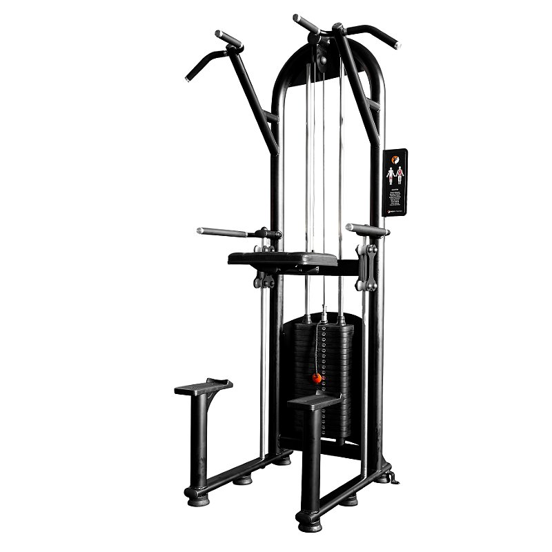 Graviton Profissional Shed Fitness EVO
