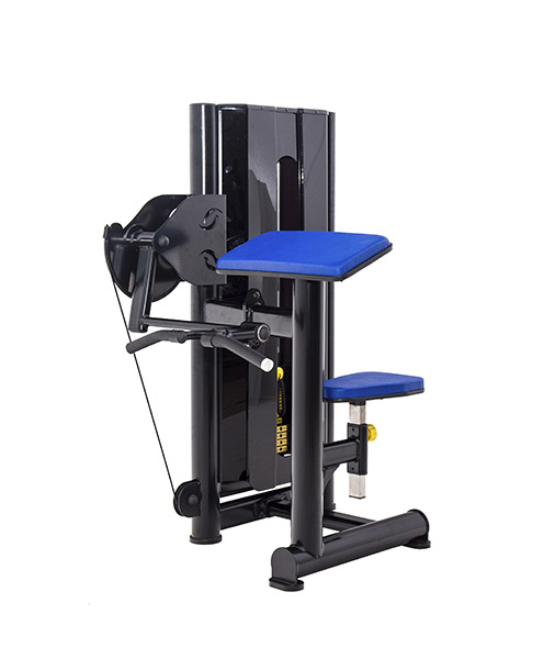 Rosca Scott Máquina Profissional Shed Fitness LTD