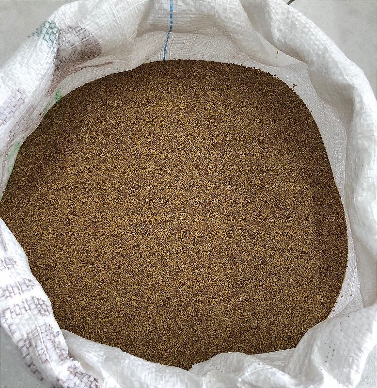 Semente de Alfafa Crioula - Kg - Mercado AgroPet