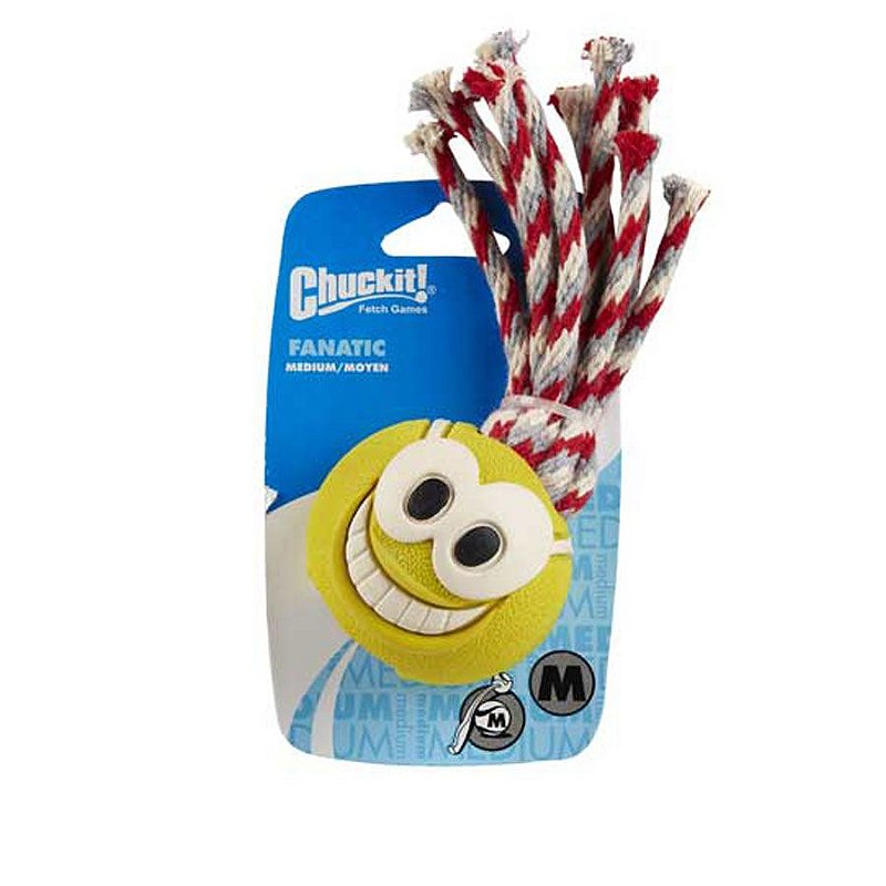 CHUCKIT! Fanatic Pet in Action