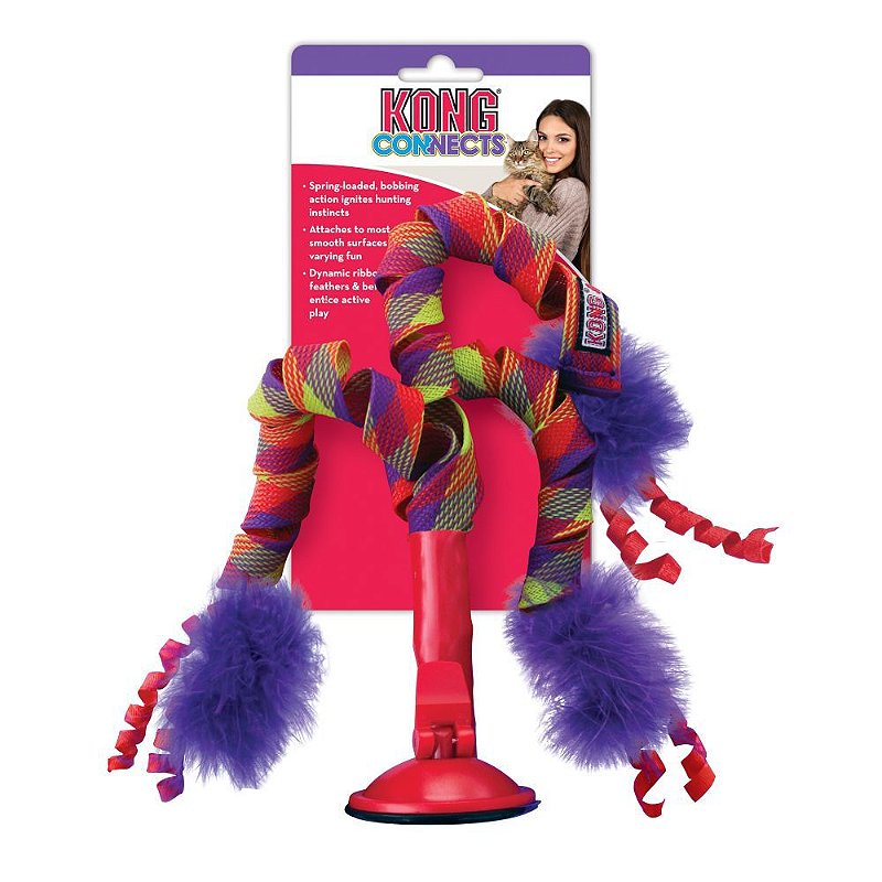 Kong curlz teaser cheap