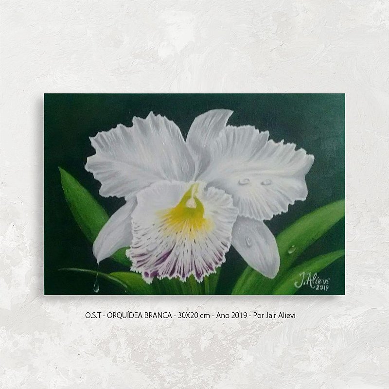 Quadro Flor Orquídea Branca - Tinta Óleo Sobre Tela 30x20cm