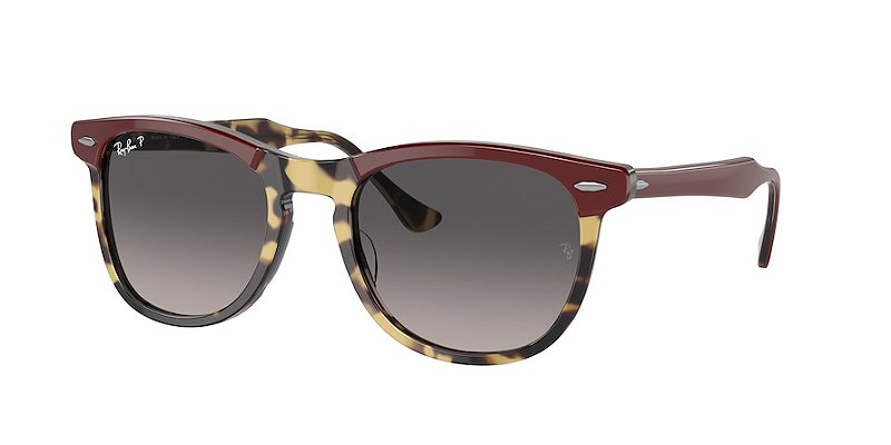 Ray-Ban Eagleeye RB2398-53-1377M3 Vinho sobre Havana amarelo Lente Cinza Polarizada