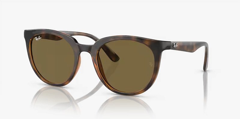 Oculos de Sol Ray-Ban RB4383L-53-710/73 Marrom Lente Marrom total