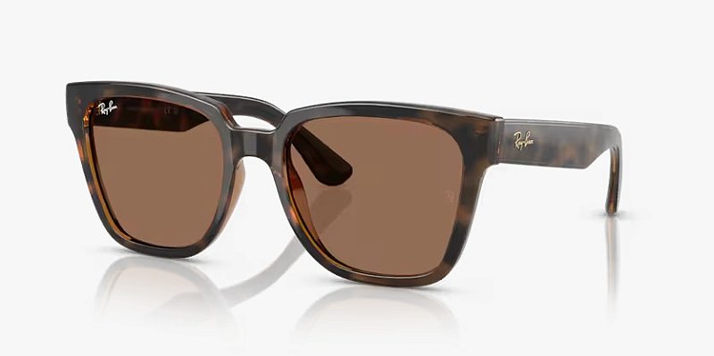 Óculos de Sol Ray-Ban RB4437L-55-710/73 Havana escuro Lentes Marrom