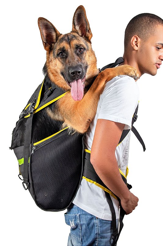 bolsa mochila cachorro loko