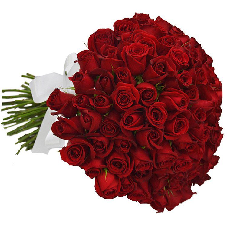 Buquê 50 Rosas Vermelhas Entrega Zona Sul e Região - Mariza Flores