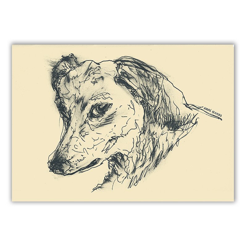 Cães Callejeros - 02 - André Oliveira - Quadro ou Print Fine Art