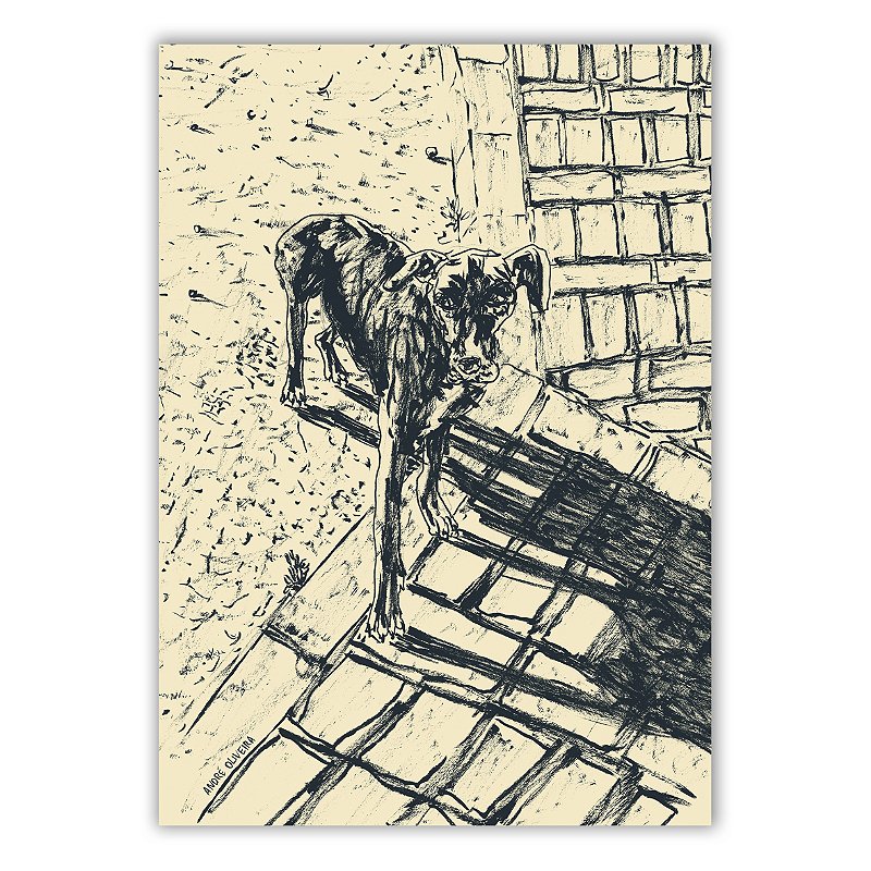 Cães Callejeros - 04 - André Oliveira - Quadro ou Print Fine Art