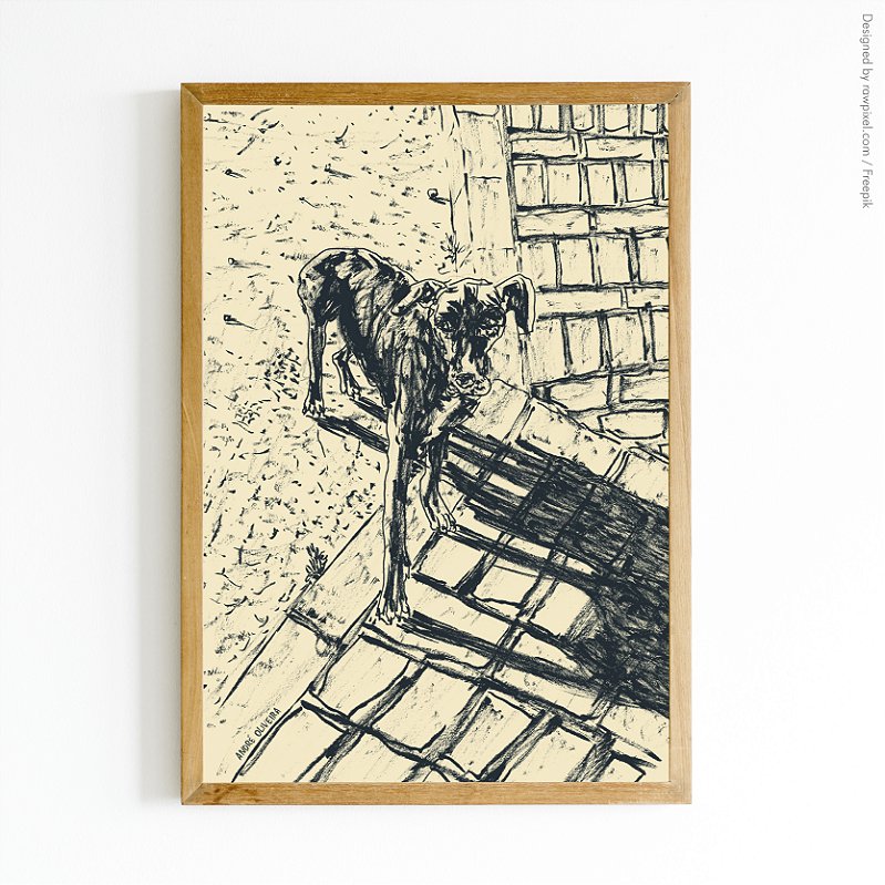 Cães Callejeros - 04 - André Oliveira - Quadro ou Print Fine Art