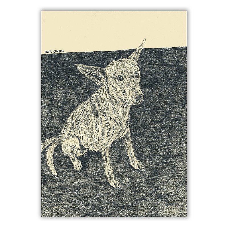 Cães Callejeros - 05 - André Oliveira - Quadro ou Print Fine Art