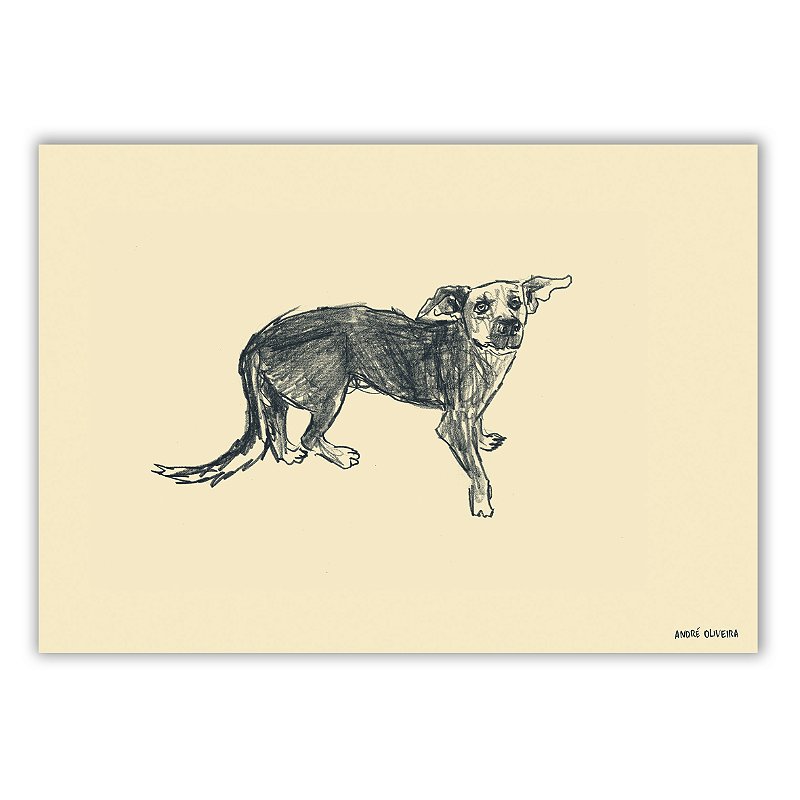 Cães Callejeros - 06 - André Oliveira - Quadro ou Print Fine Art