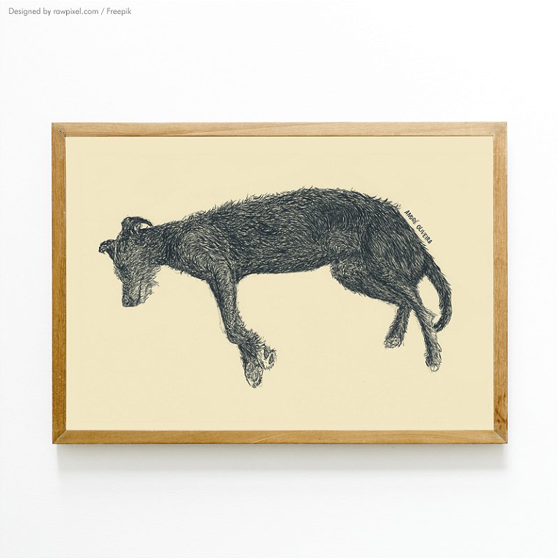 Cães Callejeros - 07 - André Oliveira - Quadro ou Print em Fine Art