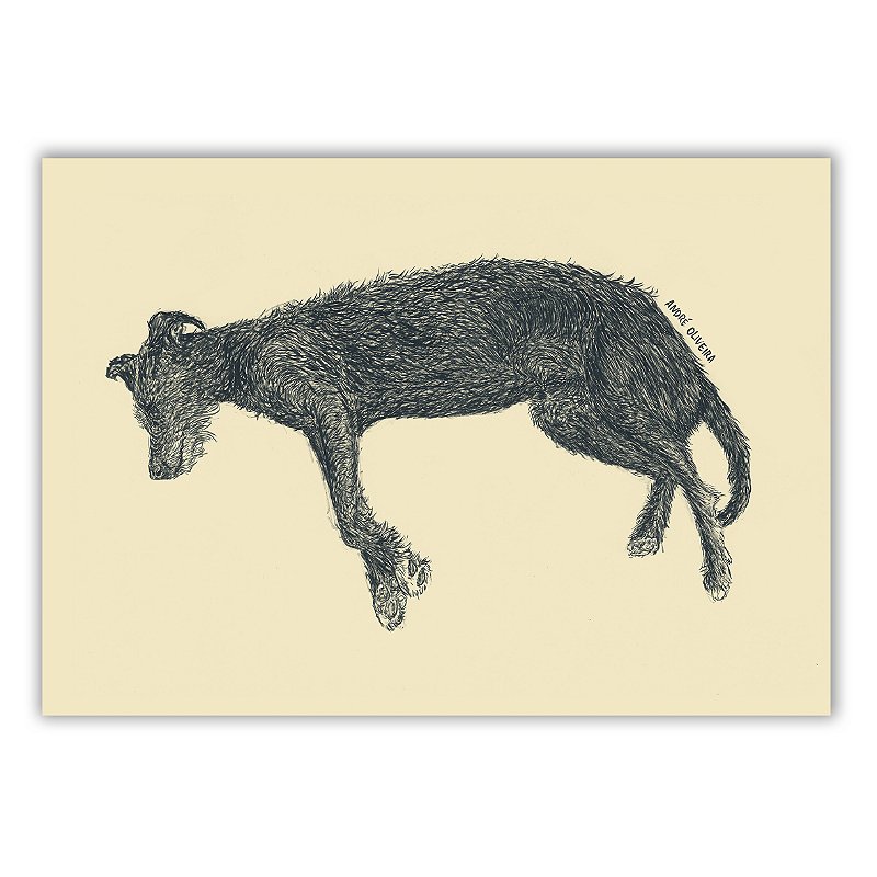Cães Callejeros - 07 - André Oliveira - Quadro ou Print em Fine Art